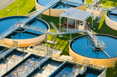 untitled design (17)